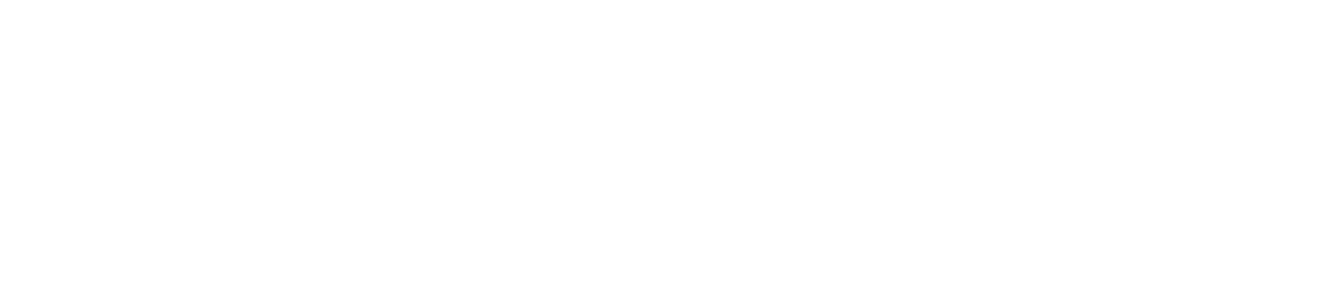 Virtvs